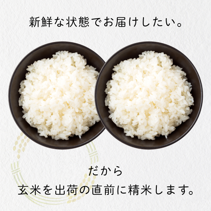 ON-03 大山岡田農園のお米食べ比べセット（にじのきらめき5kg・こしひかり5kg）