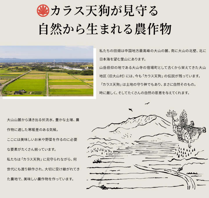 【先行予約】KT-03　大山のこしひかり１０kg定期便3回コース【令和8年10月以降発送】