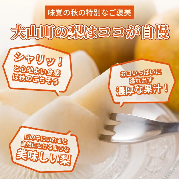 DS-22 訳あり大山町産梨 ５ｋｇ【品種はおまかせ】