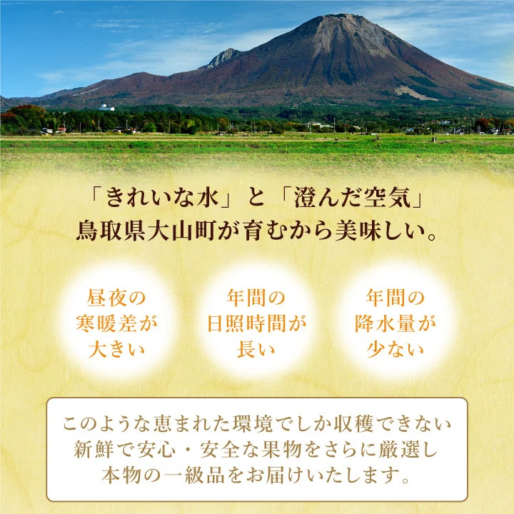 DS-26　大山の自然が育てた季節の梨 5kg