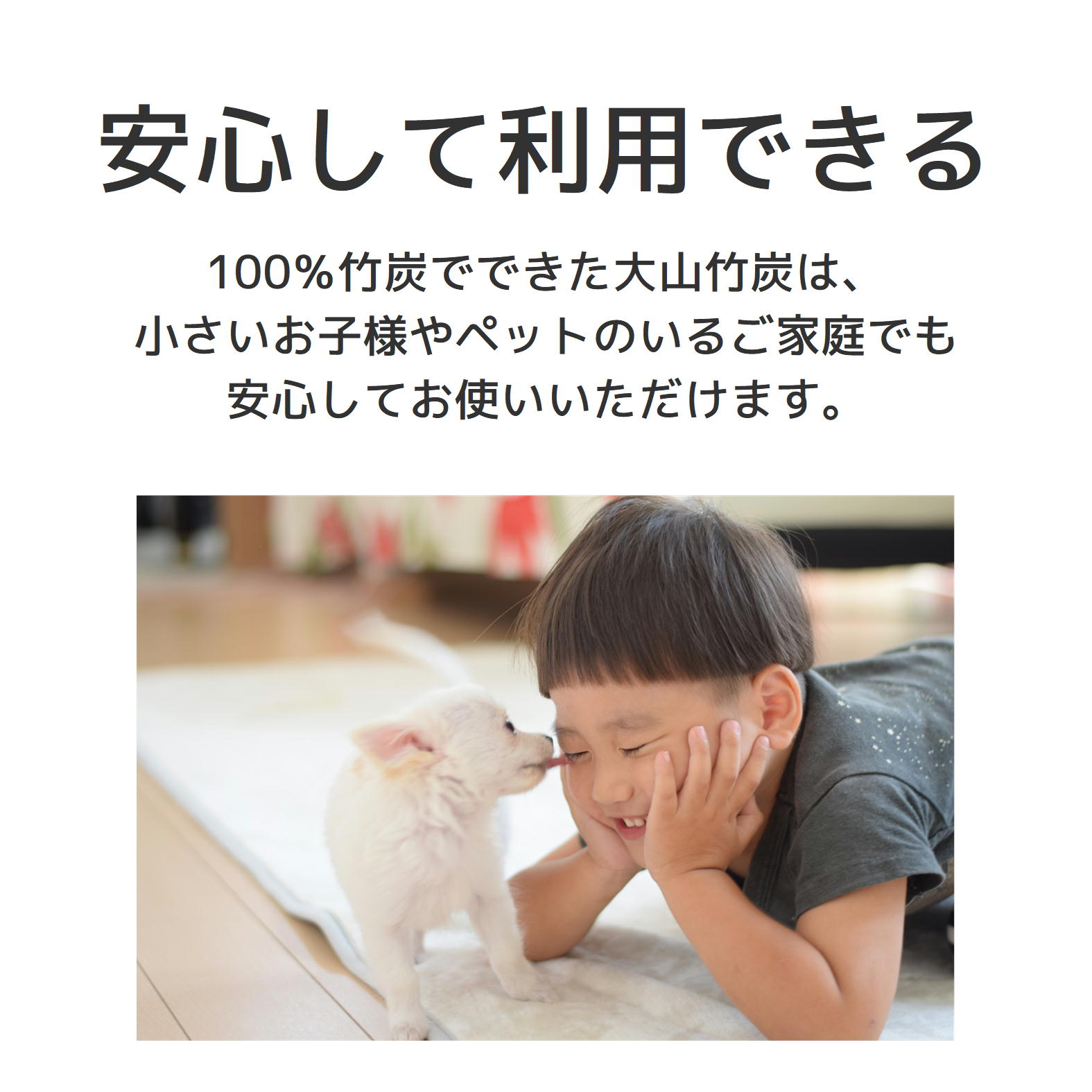  KR-03　鳥取県産 大山 竹炭 小袋 除湿 消臭 湿気対策 誠守（まさもり）