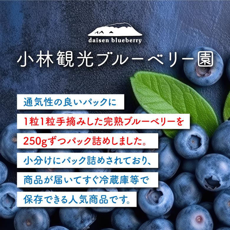  KB-02　【期間限定】大山のめぐみ摘みたてブルーベリー　1750ｇ