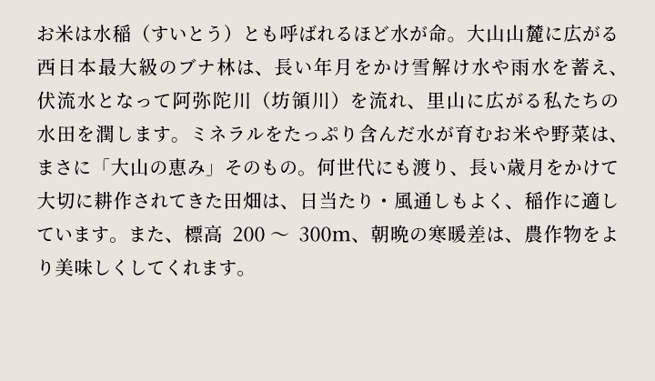 【先行予約】KT-01 大山カラス天狗 大山のこしひかり5kg【令和8年10月以降発送】
