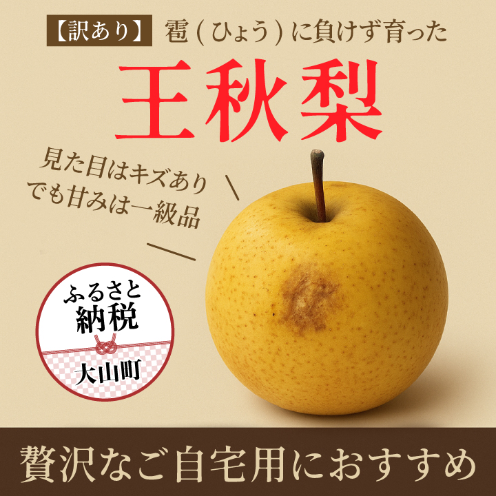 DS-27【訳あり梨】「ひょう」の被害を受けても力強く育つ王秋梨