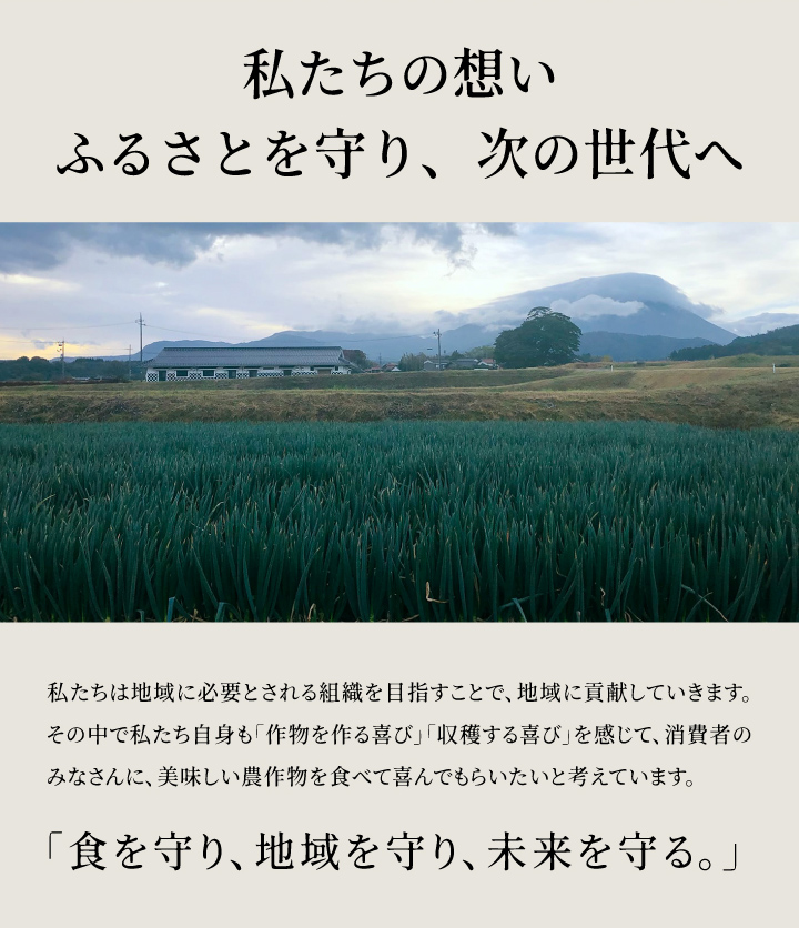 【先行予約】KT-03　大山のこしひかり１０kg定期便3回コース【令和8年10月以降発送】
