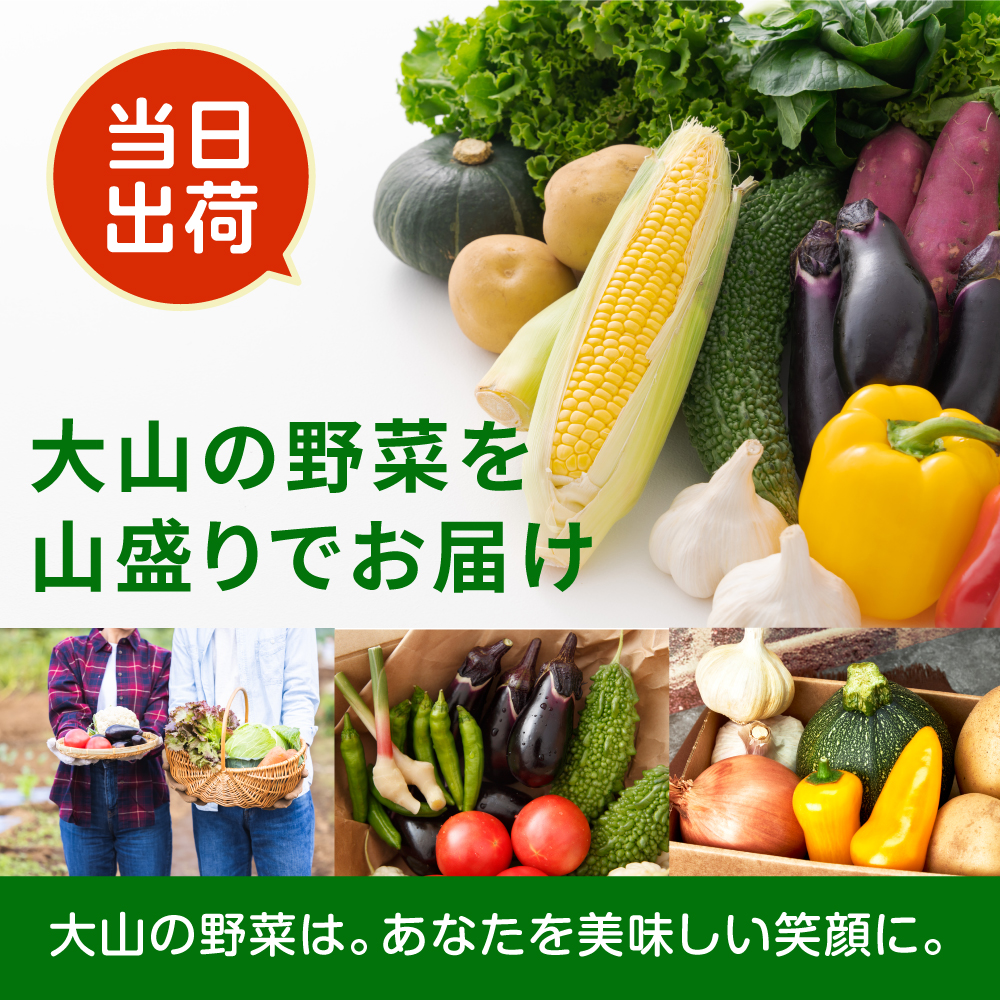 MS-03新鮮朝採れ野菜　お手頃セット頒布会（計3回）