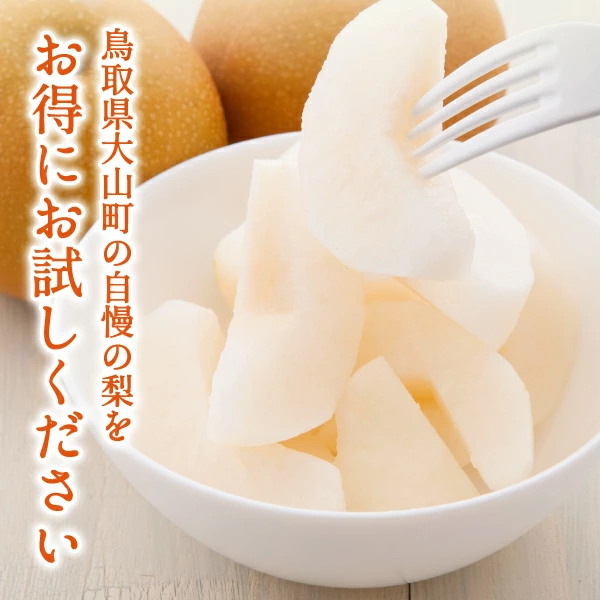 DS-22 訳あり大山町産梨 ５ｋｇ【品種はおまかせ】