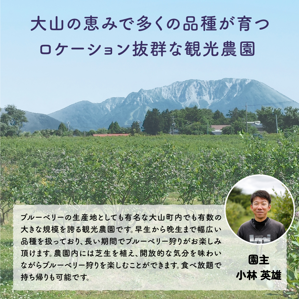 KB-01　【期間限定】大山のめぐみ摘みたてブルーベリー　1250ｇ