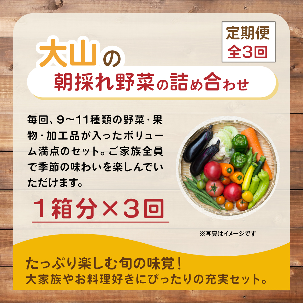 MS-04　新鮮朝採れ野菜セット 頒布会　定期便（計3回）
