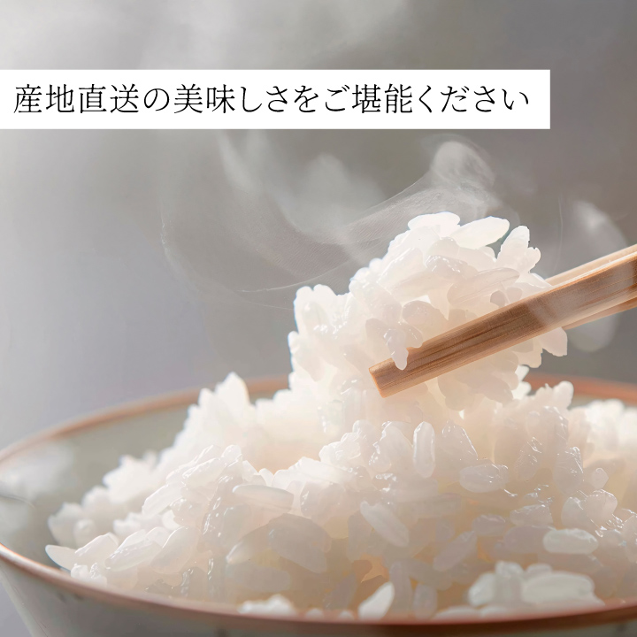 【先行予約】KT-01 大山カラス天狗 大山のこしひかり5kg【令和8年10月以降発送】