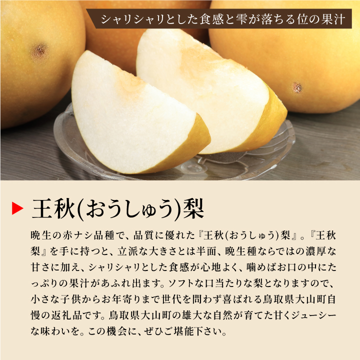 DS-27【訳あり梨】「ひょう」の被害を受けても力強く育つ王秋梨