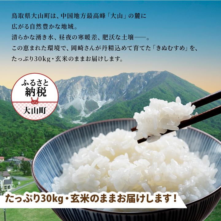 OJ-01 大山の自然が育んだ岡崎さんのきぬむすめ30kg【玄米】