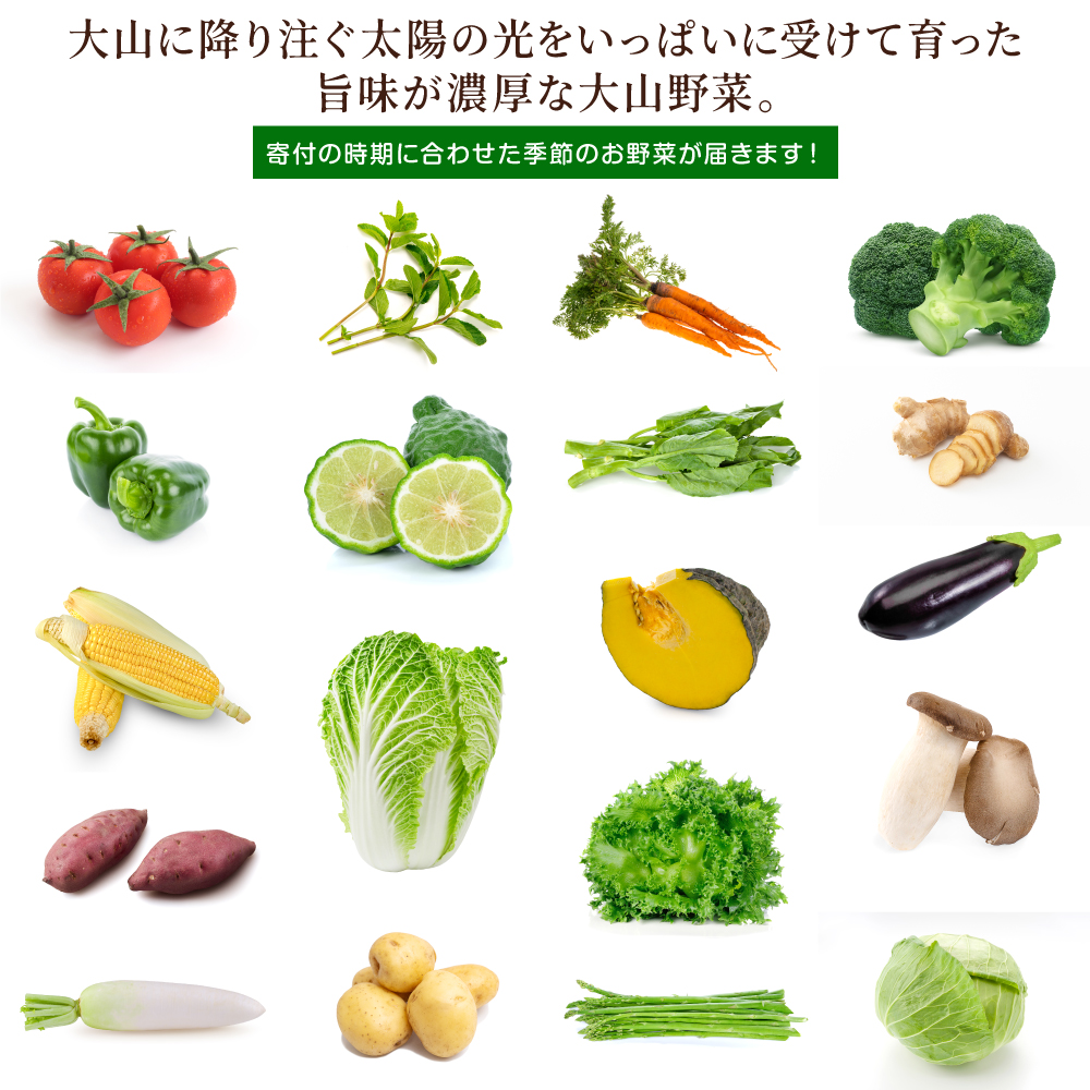 MS-03新鮮朝採れ野菜　お手頃セット頒布会（計3回）