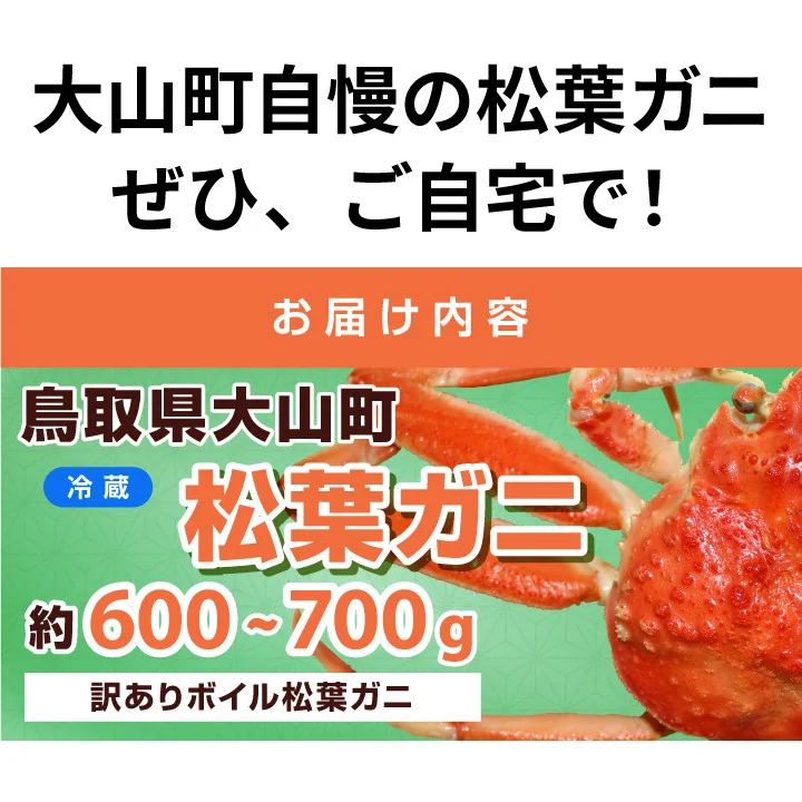 OM-31　訳あり足1本折れボイル松葉ガニ（600～700gを1枚）【土日到着限定】【11月中旬以降発送】