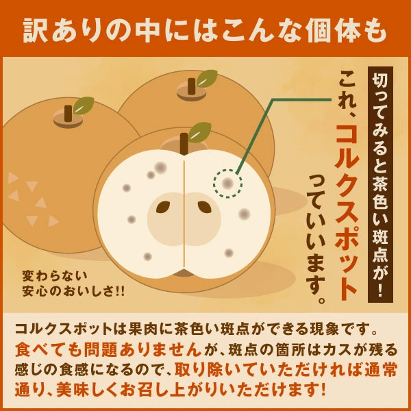 DS-22 訳あり大山町産梨 ５ｋｇ【品種はおまかせ】