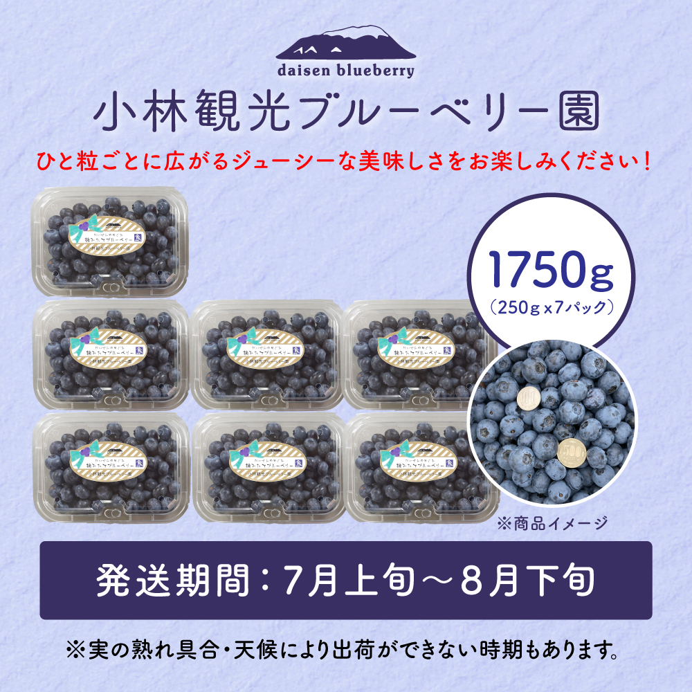  KB-02　【期間限定】大山のめぐみ摘みたてブルーベリー　1750ｇ