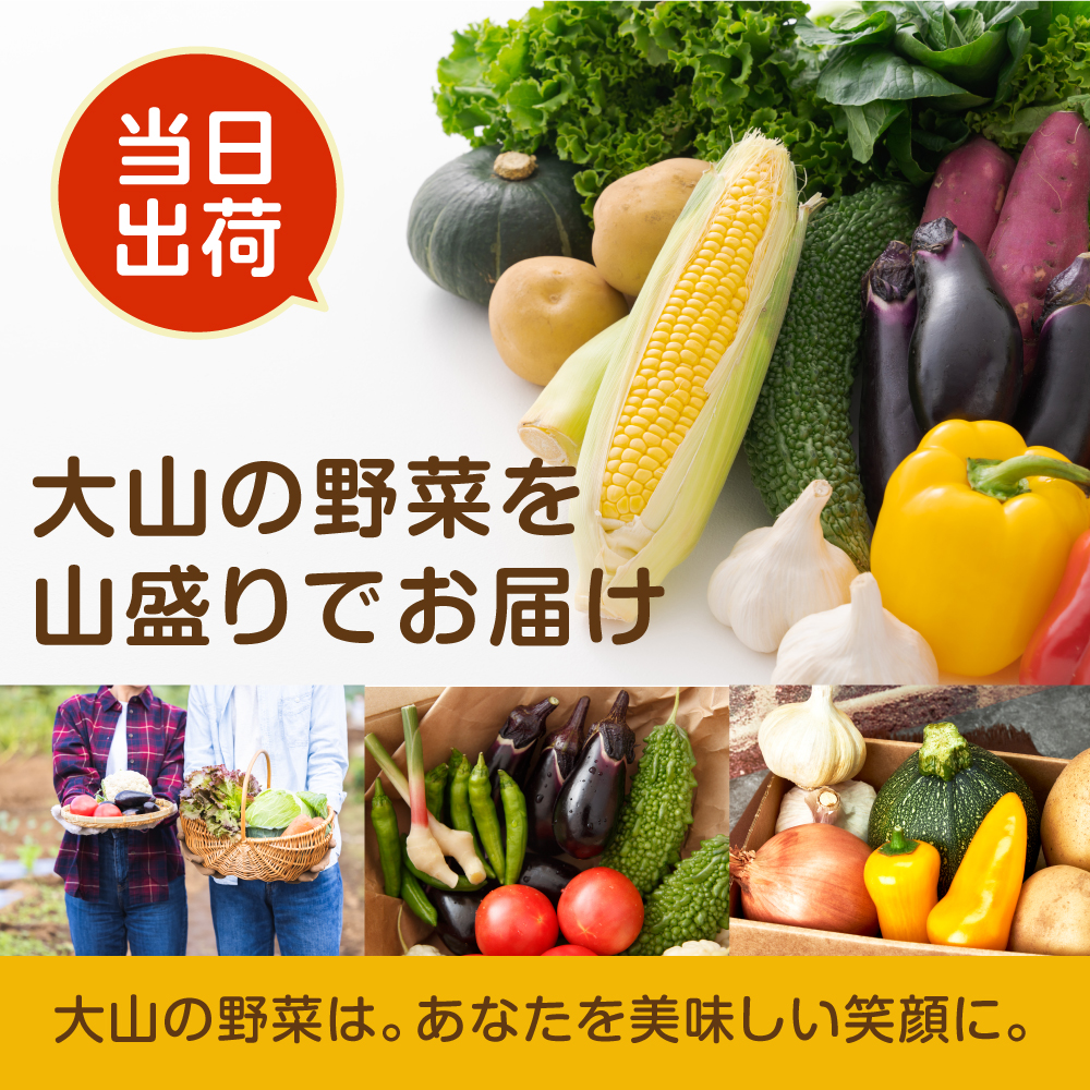 MS-04　新鮮朝採れ野菜セット 頒布会　定期便（計3回）