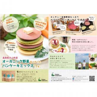 SF-04　魔法のベジパンケーキ3種セット