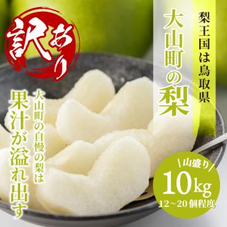 DS-25　訳あり梨10kg