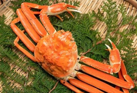 OM-18　ボイル松葉ガニ(600g～700gを1枚)