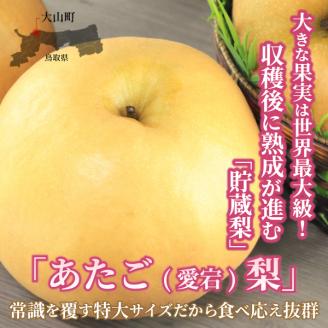 DS-10あたご梨（５ｋｇ）