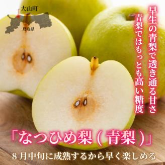 【先行予約】DS-01なつひめ梨（５ｋｇ）