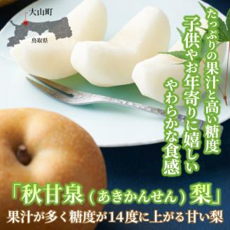 【先行予約】DS-04秋甘泉梨（５ｋｇ）