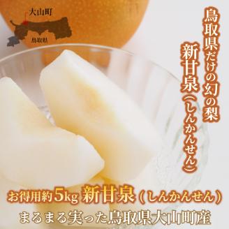 【先行予約】DS-03新甘泉梨（５ｋｇ）