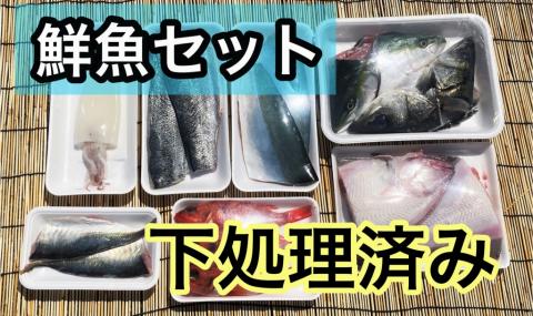 OM-39　みくりや季節の鮮魚セット（下処理済み）