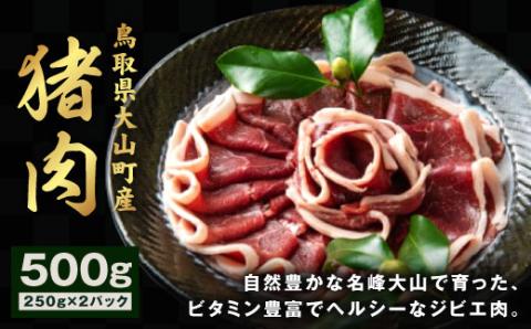 GB-01　猪肉　500g（250g×2パック）
