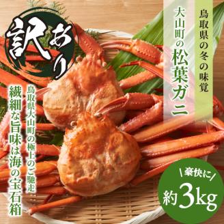 OM-14-2　[冷凍]＜年始お届け＞訳あり松葉ガニ３kg詰め合わせ（冷凍）