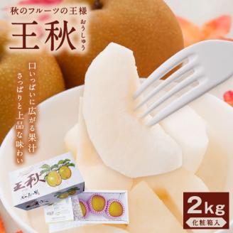 DS-09化粧箱入り王秋梨（３玉入り２ｋｇ）