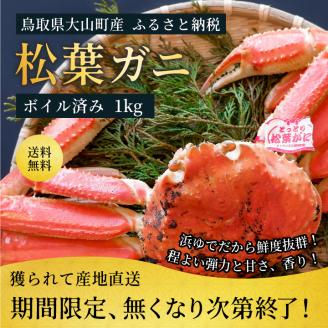 OM-25ブランドタグ付ボイル松葉ガニ（特大約１ｋｇ）