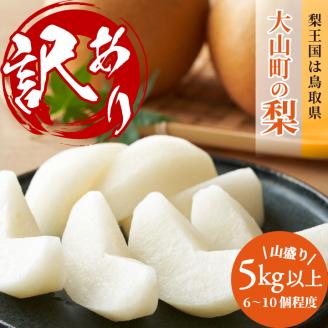 DS-22 訳あり大山町産梨 ５ｋｇ【品種はおまかせ】