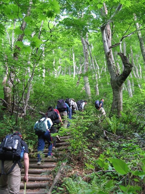 TO-02大山登山ガイドツアー