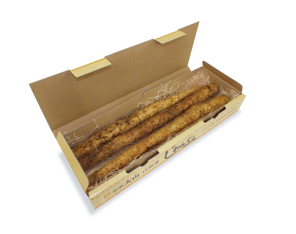 MS-07大山産自然薯 850g【11月以降出荷】