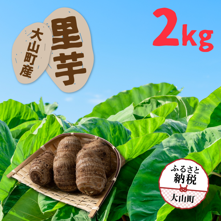 TY-01  大山町産里芋2kg