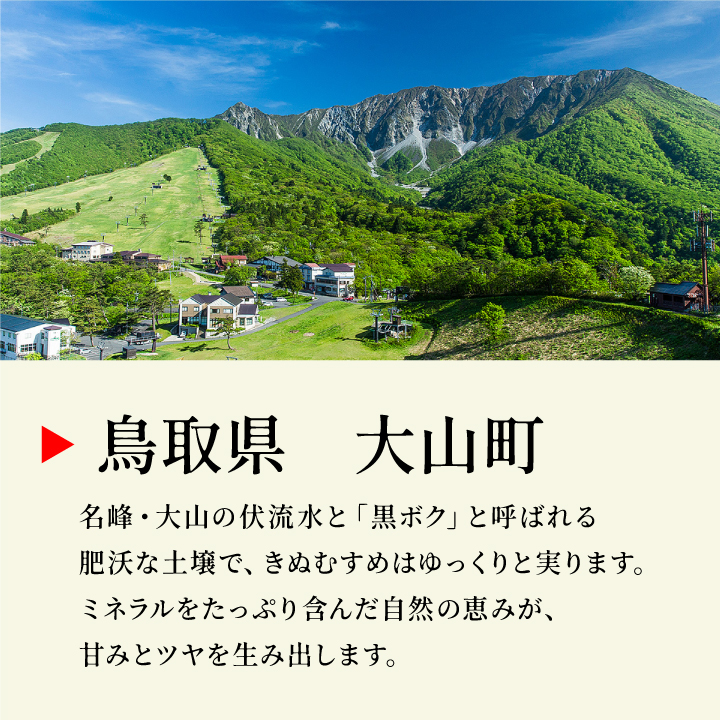 MR-20　諸遊農場のきぬむすめ10kg