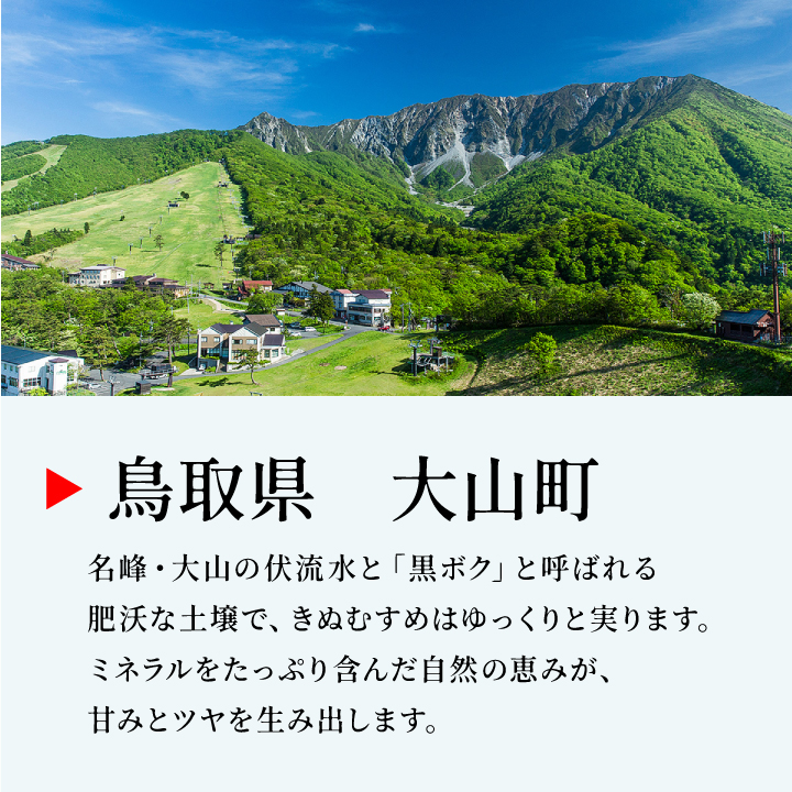 MR-21　諸遊農場のミルキークイーン10kg