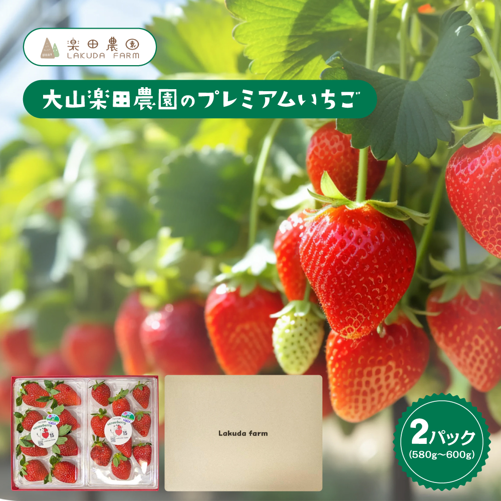 大山楽田農園のプレミアムいちごプランA