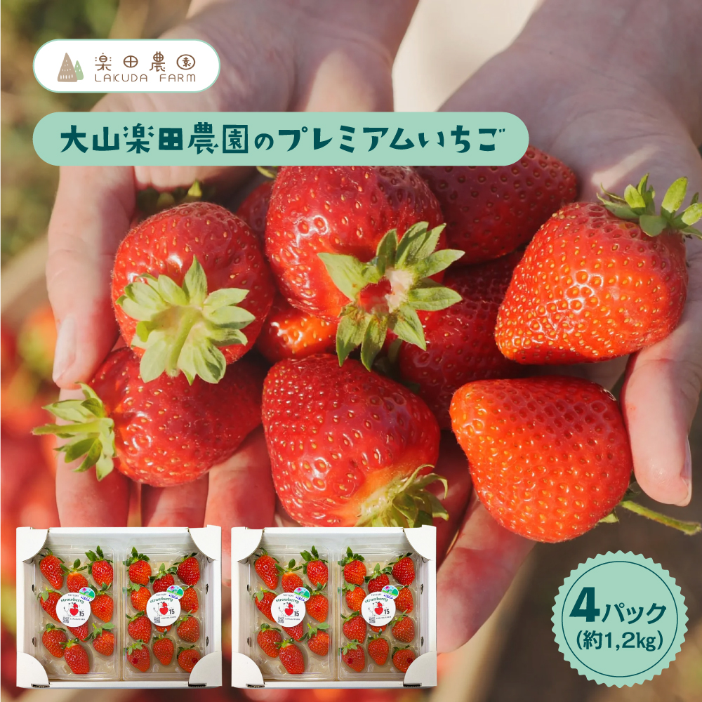 大山楽田農園の大容量ファミリーパックいちごプランC
