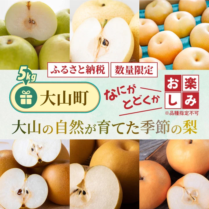 DS-26　大山の自然が育てた季節の梨 5kg