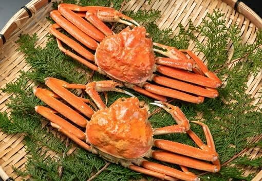 OM-19-2　ボイル松葉ガニ（400～500gを２枚）【木曜・金曜到着限定】