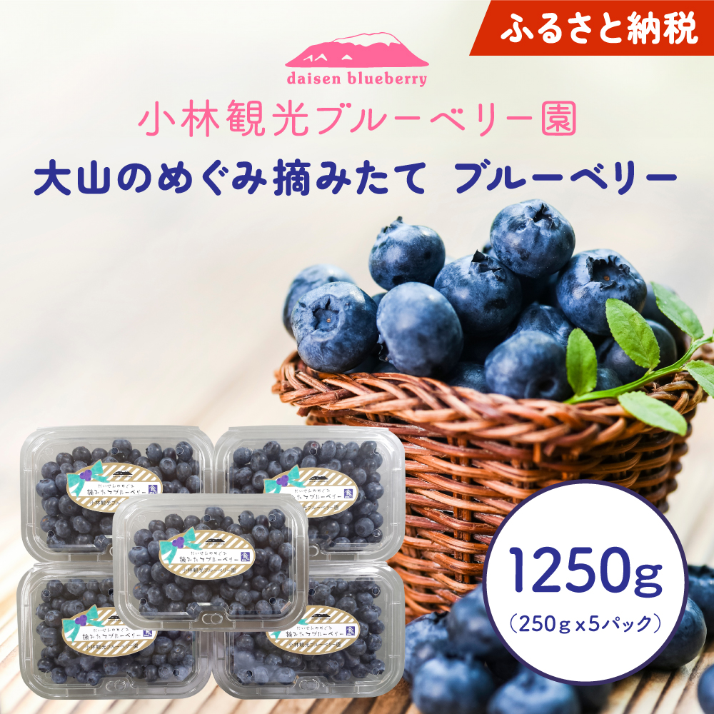 KB-01　【期間限定】大山のめぐみ摘みたてブルーベリー　1250ｇ