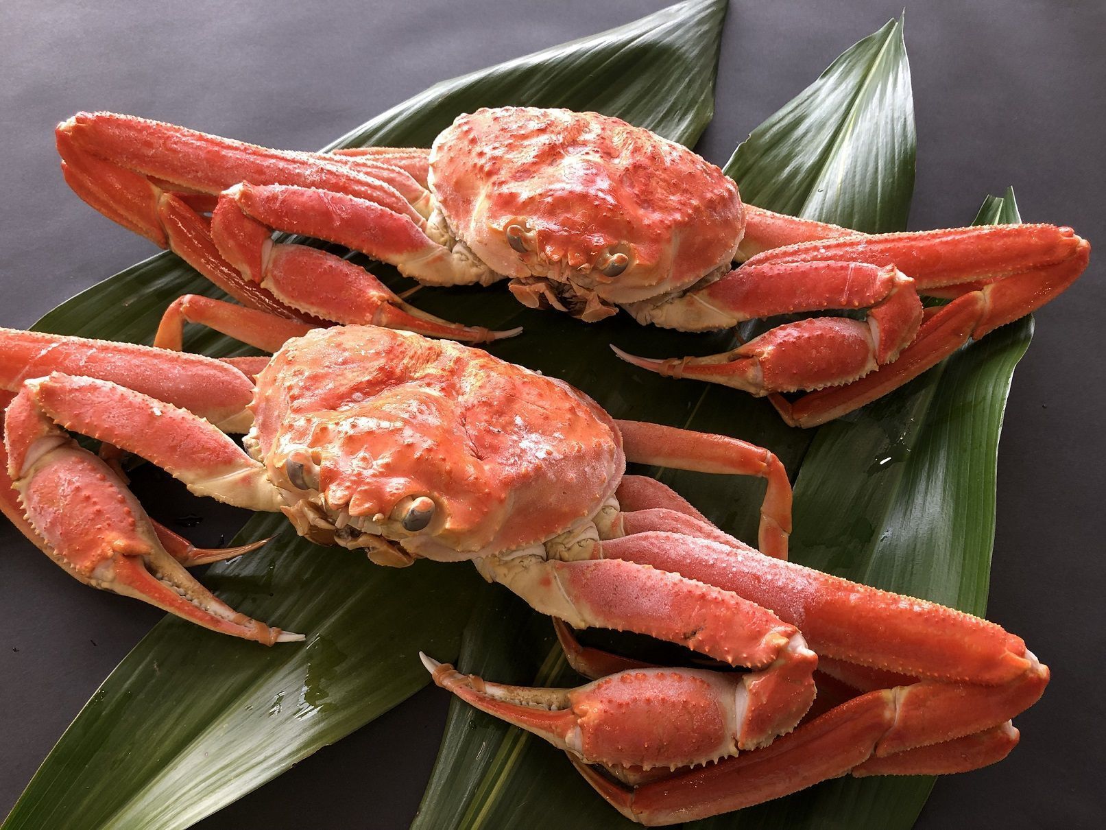 OM-20冷凍ボイル松葉ガニ（400～500gを2枚）