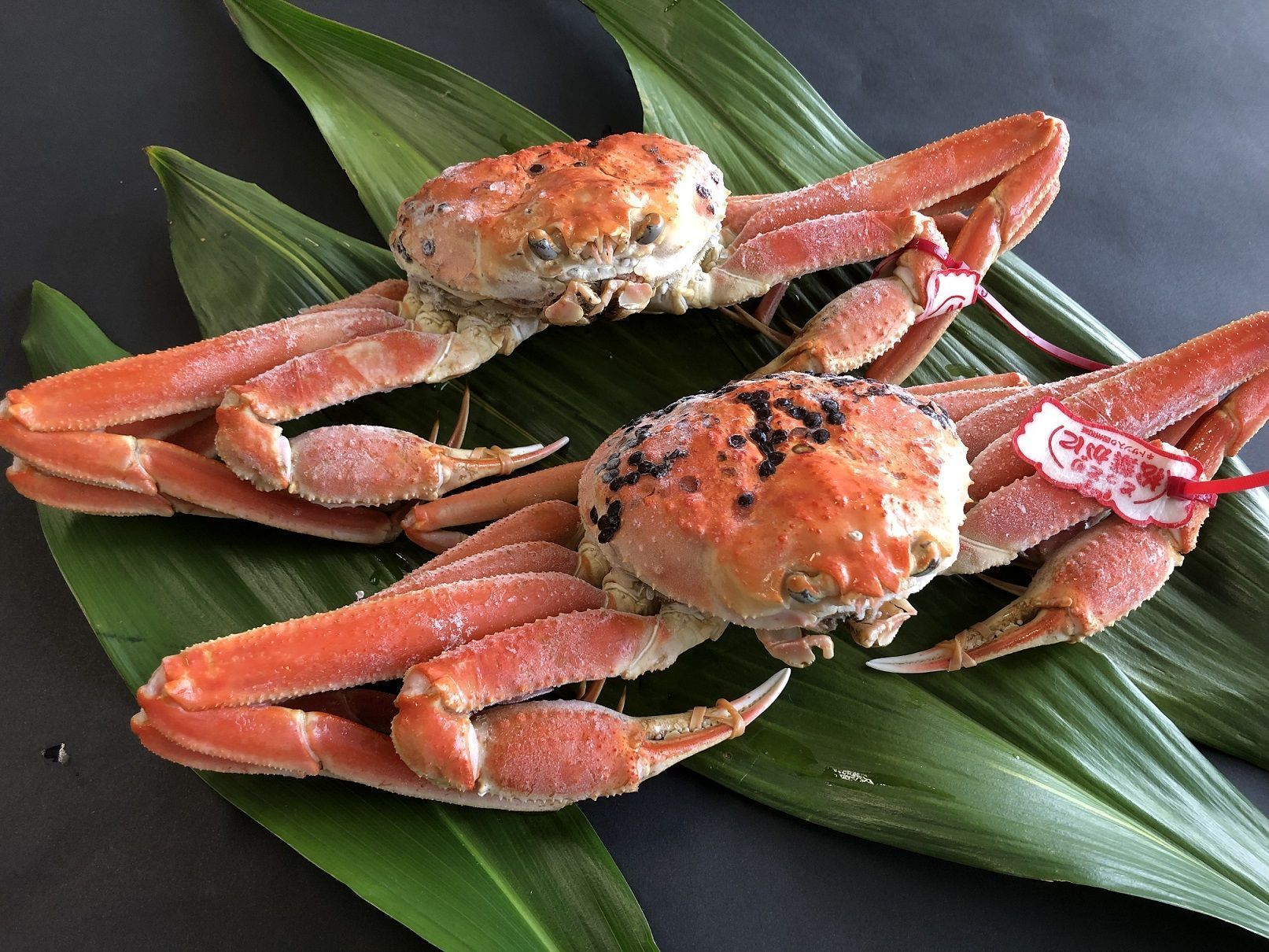 OM-24　[冷凍]ブランドタグ付ボイル松葉ガニ(400～500gを2枚)