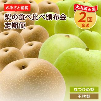 【先行予約】DS-23 梨食べ比べ定期便（2回コース）
