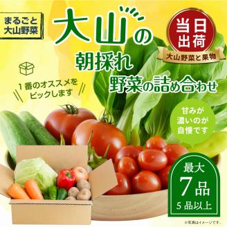 MS-01新鮮朝採れ野菜お手ごろセット
