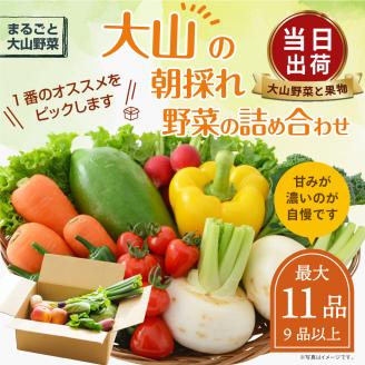 MS-01新鮮朝採れ野菜セット