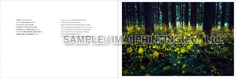 廣池昌弘写真集「HIMEBOTARU」